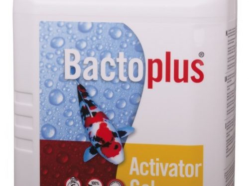Vijverbacteriën